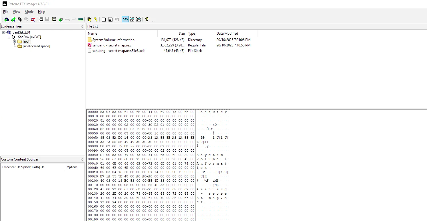 Recovered file contents of the E01